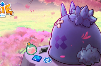 Axie Infinity Marketplace Upgrade P2E