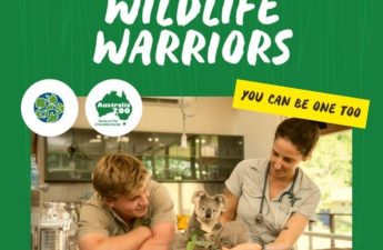 Australia Zoo Launches NFT Project On Algorand To Protect Wildlife