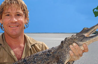 Australia Zoo Steve Irwin Conservation NFT