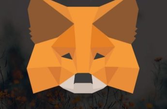 MetaMask x Asset Reality to protect the victims of phishing