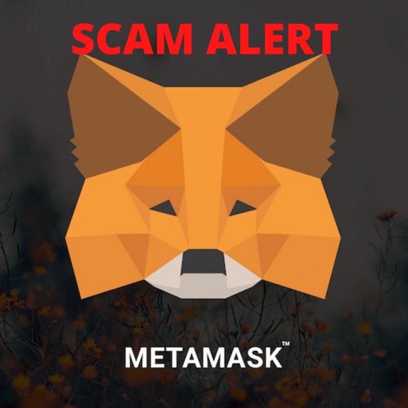 MetaMask x Asset Reality to protect the victims of phishing