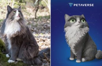 Now You Can Mint A Web3 Version of Your Pet via Petaverse