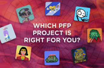 Which PFP Project is Right for You?