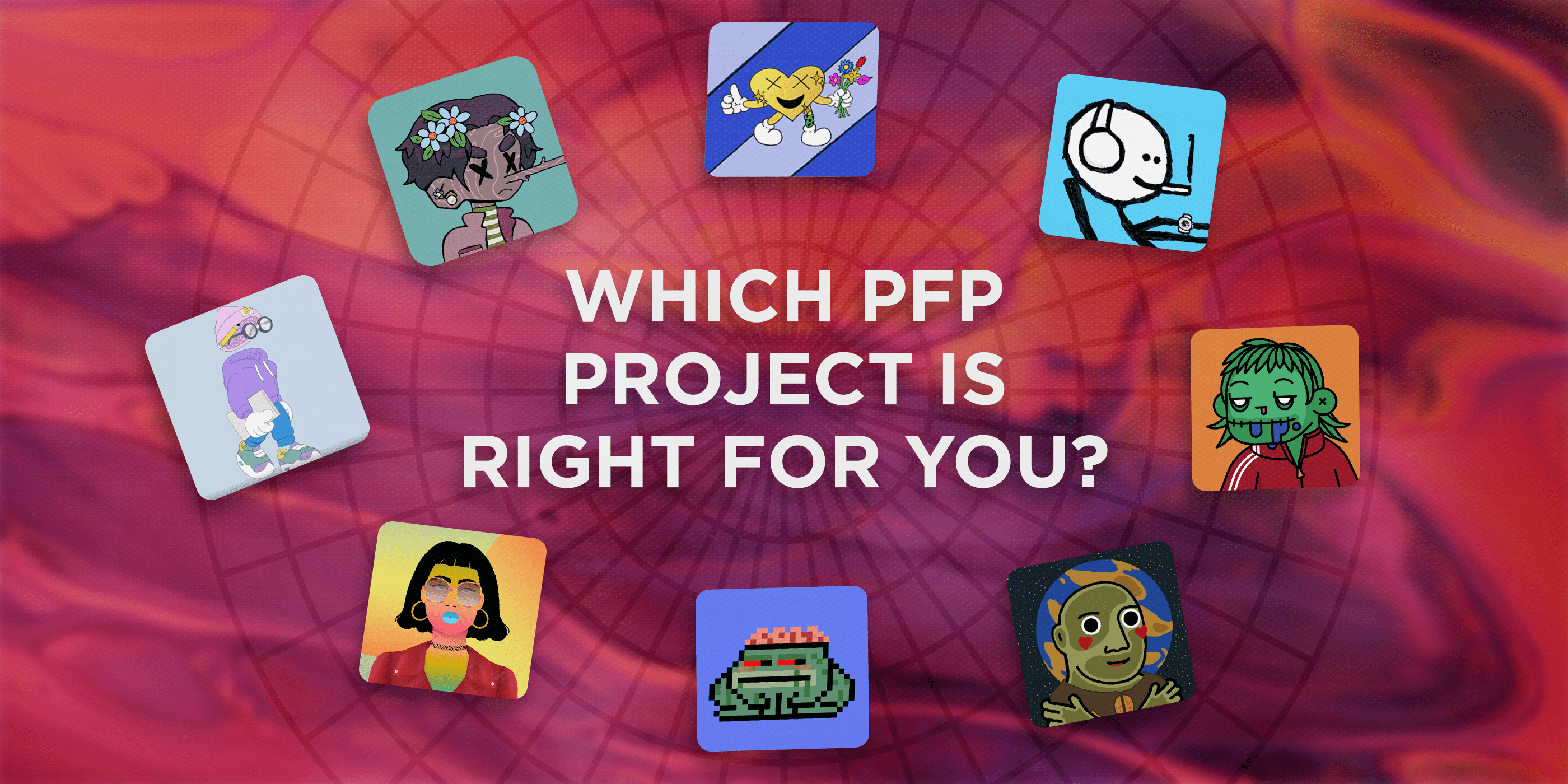 Which PFP Project is Right for You?