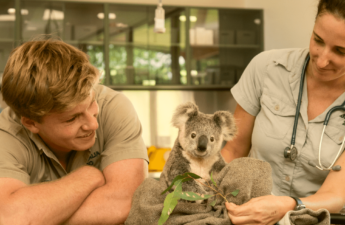 Australia Zoo Partners to Launch NFTs on Carbon Negative Blockchain