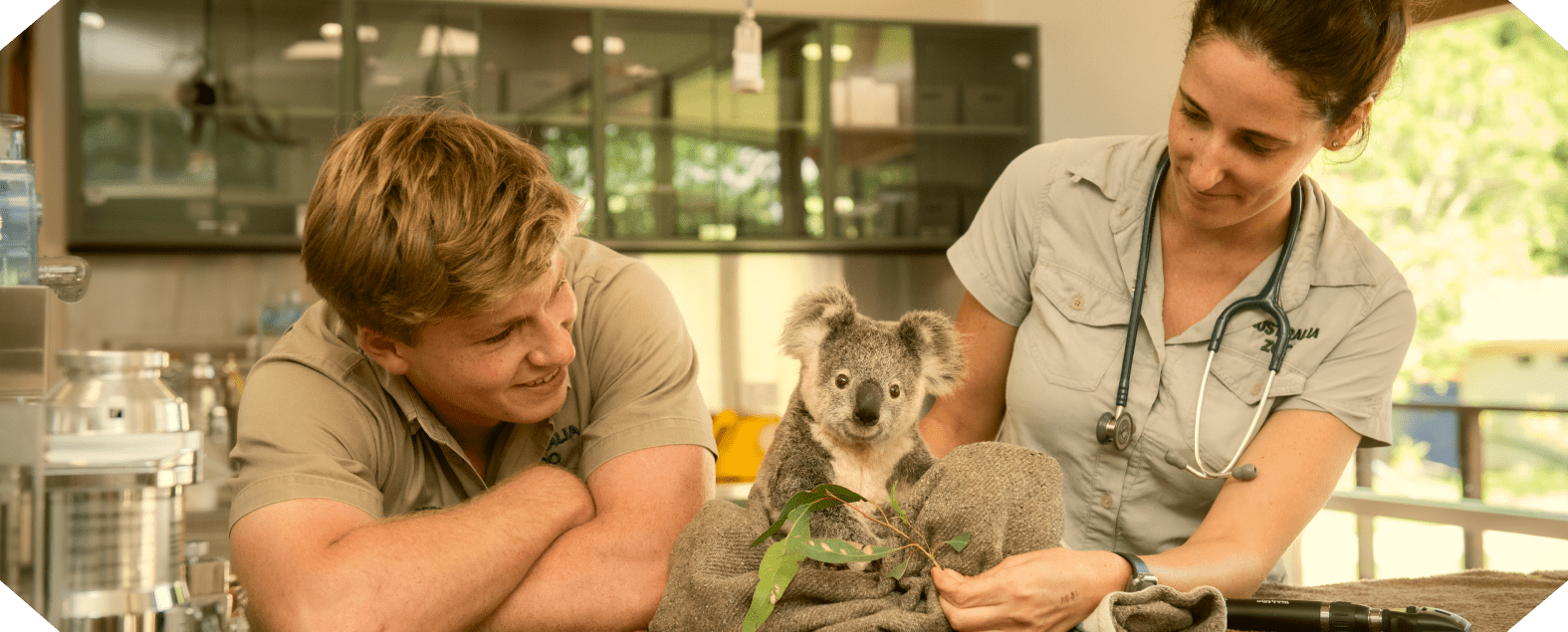 Australia Zoo Partners to Launch NFTs on Carbon Negative Blockchain