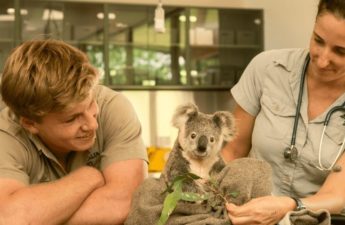 Crocodile Hunter's Australia Zoo Drops Its First NFT Collection