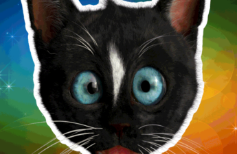 Interview with Felini's Favorte Kitty Cat Sticker NFT