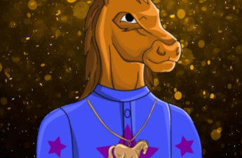 Interview with The Swaggy Stallion Collection NFT