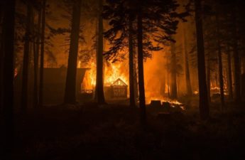 Photojournalist Lynsey Addario Tackles Climate Change With Debut NFTs