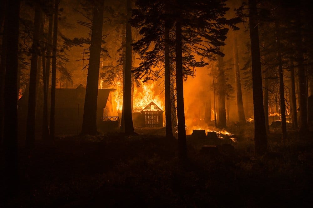 Photojournalist Lynsey Addario Tackles Climate Change With Debut NFTs