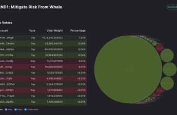 Solend token holders votes on whale account