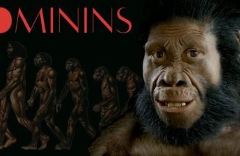 Hominins - The Inaugural Historical NFT Collection From TheInfiniteDrop