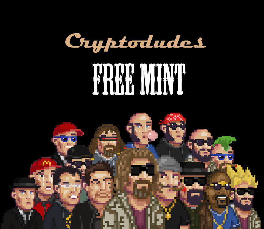 Interview with Cryptodudes NFT